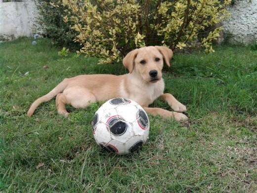 Como se ve en la foto, Futbolero de ley jaja